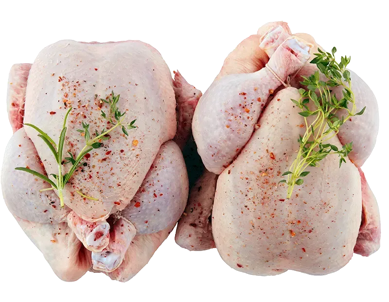 Fresh poultry meat: broilers